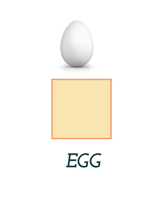 Pancake Adaptable Book